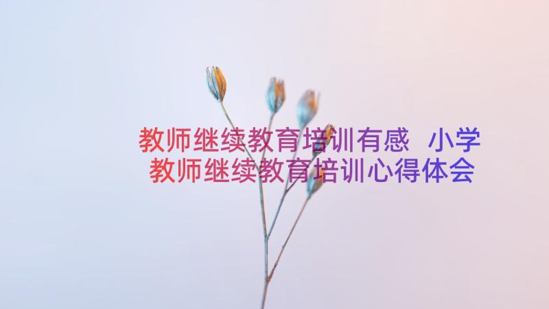 教师继续教育培训有感 小学教师继续教育培训心得体会(汇总11篇)