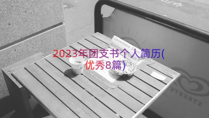 2023年团支书个人简历(优秀8篇)