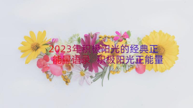 2023年积极阳光的经典正能量语录 积极阳光正能量的经典句子(大全8篇)