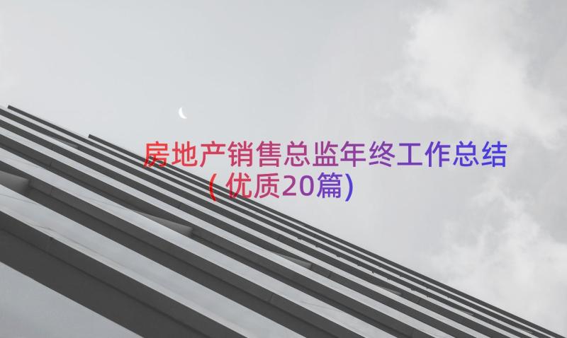 房地产销售总监年终工作总结(优质20篇)