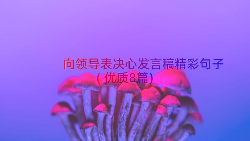 向领导表决心发言稿精彩句子(优质8篇)