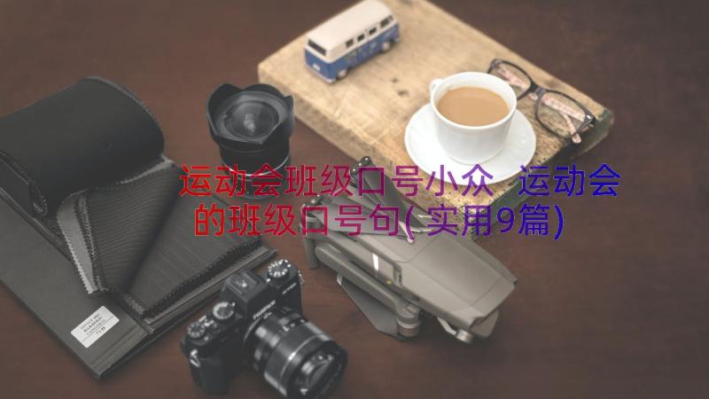 运动会班级口号小众 运动会的班级口号句(实用9篇)