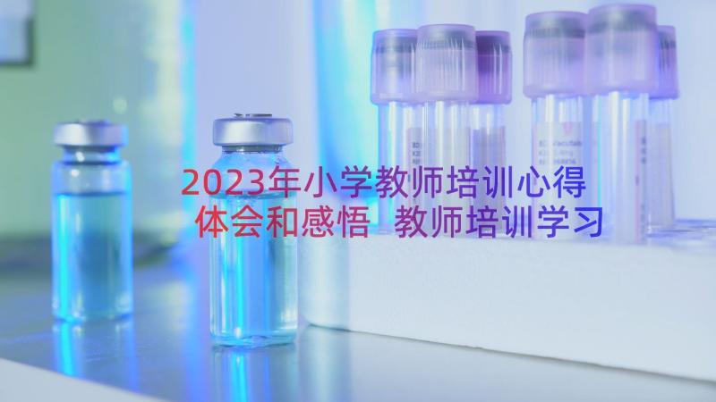 2023年小学教师培训心得体会和感悟 教师培训学习心得体会(实用16篇)