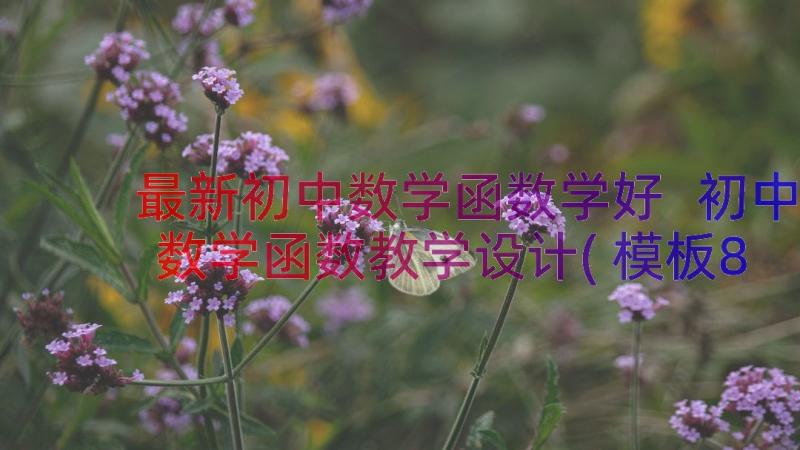 最新初中数学函数学好 初中数学函数教学设计(模板8篇)