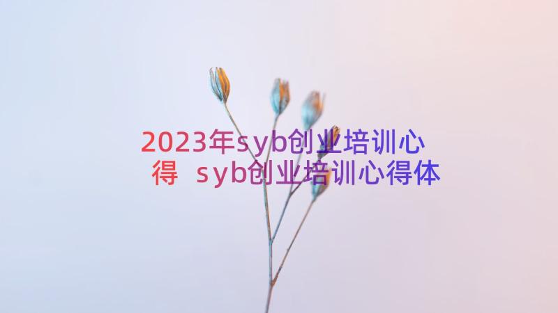 2023年syb创业培训心得 syb创业培训心得体会(汇总17篇)