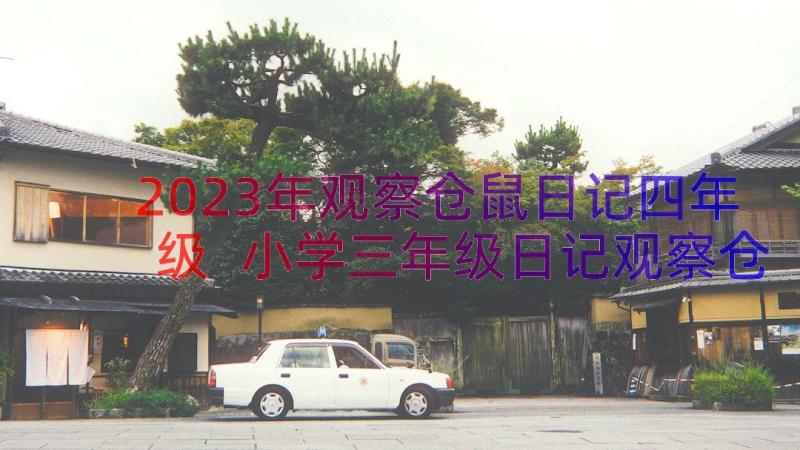 2023年观察仓鼠日记四年级 小学三年级日记观察仓鼠(实用12篇)