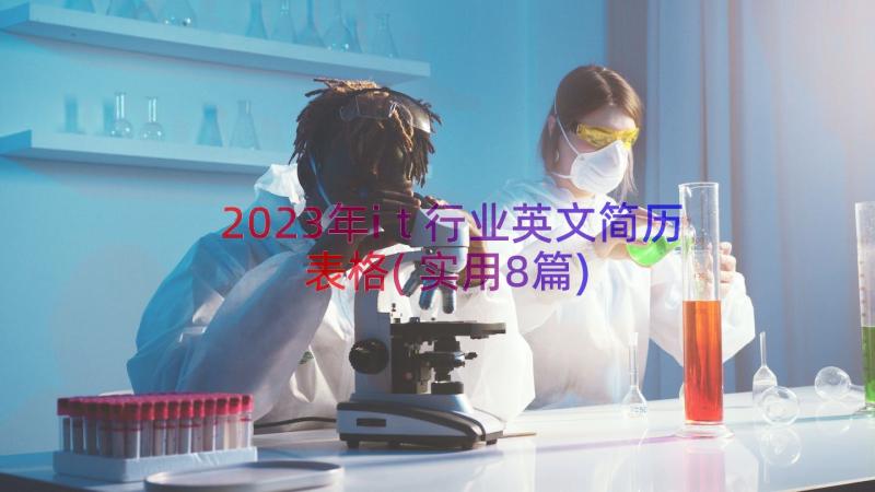 2023年it行业英文简历表格(实用8篇)