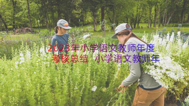 2023年小学语文教师年度考核总结 小学语文教师年度考核个人总结(大全8篇)