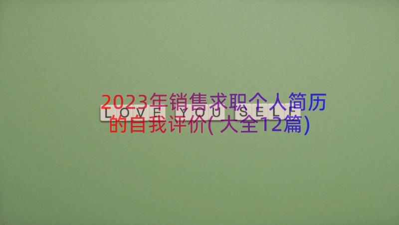 2023年销售求职个人简历的自我评价(大全12篇)