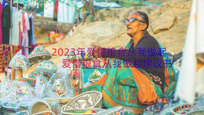 2023年爱惜粮食从我做起 爱惜粮食从我做起建议书(模板8篇)