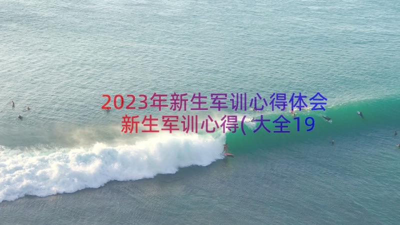 2023年新生军训心得体会 新生军训心得(大全19篇)