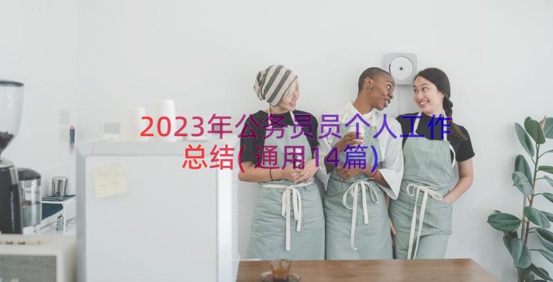 2023年公务员员个人工作总结(通用14篇)