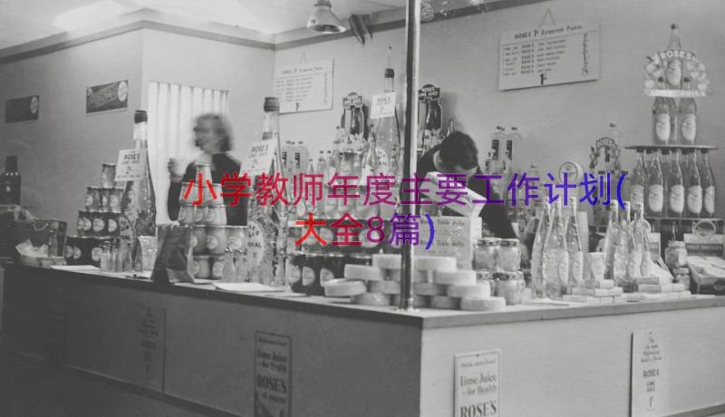 小学教师年度主要工作计划(大全8篇)