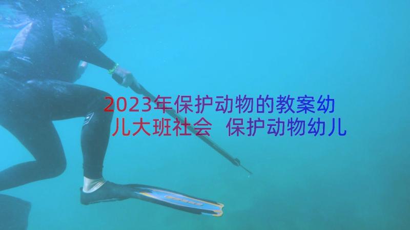 2023年保护动物的教案幼儿大班社会 保护动物幼儿园大班社会活动教案(模板8篇)