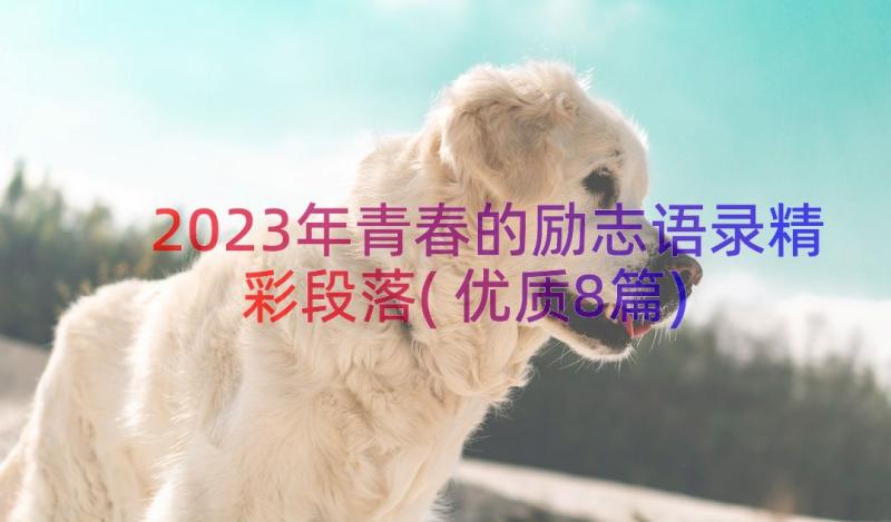 2023年青春的励志语录精彩段落(优质8篇)