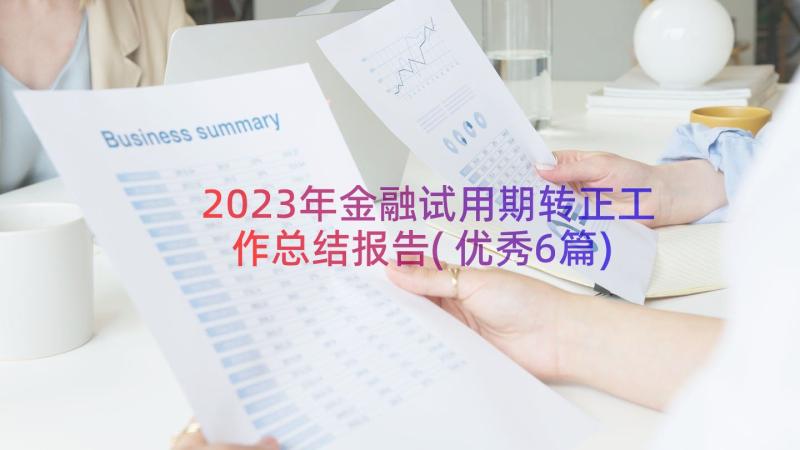 2023年金融试用期转正工作总结报告(优秀6篇)
