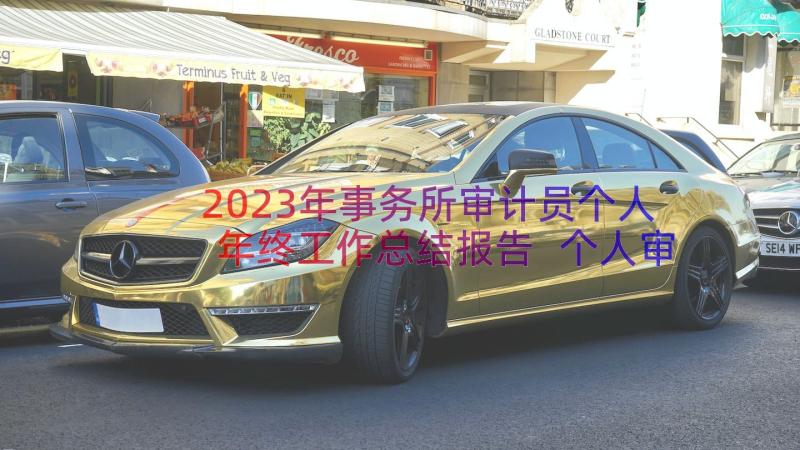 2023年事务所审计员个人年终工作总结报告 个人审计年终工作总结(优秀12篇)