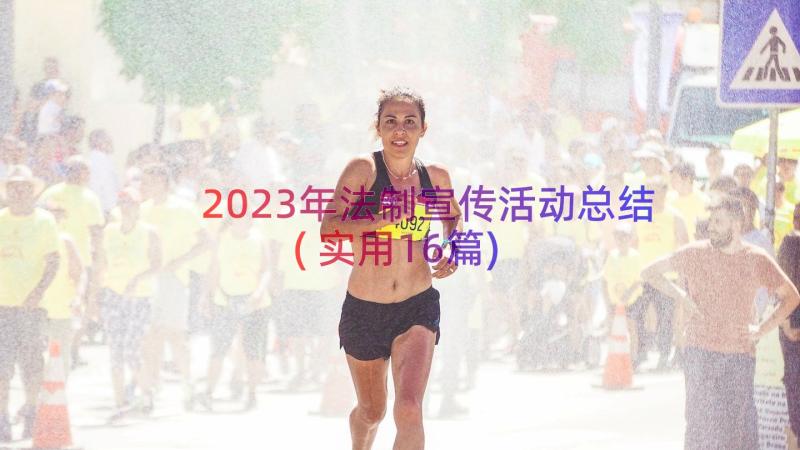 2023年法制宣传活动总结(实用16篇)