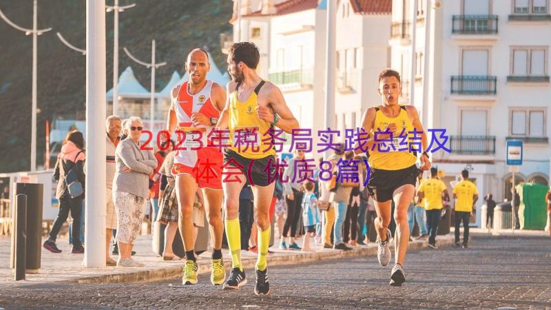 2023年税务局实践总结及体会(优质8篇)