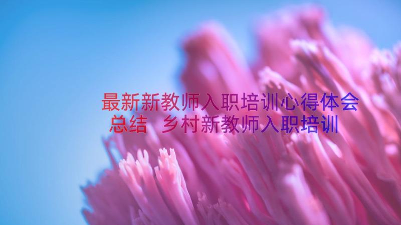 最新新教师入职培训心得体会总结 乡村新教师入职培训心得体会(模板11篇)