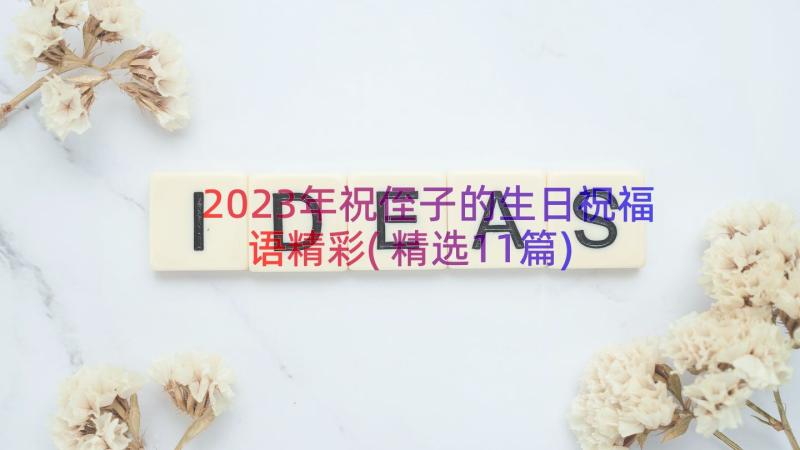 2023年祝侄子的生日祝福语精彩(精选11篇)