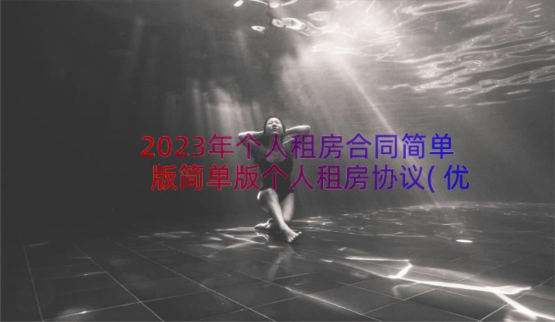 2023年个人租房合同简单版简单版个人租房协议(优秀19篇)