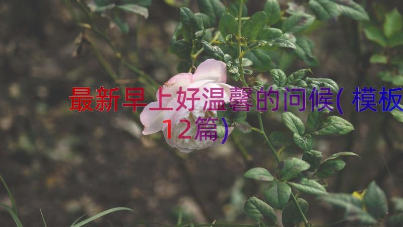 最新早上好温馨的问候(模板12篇)