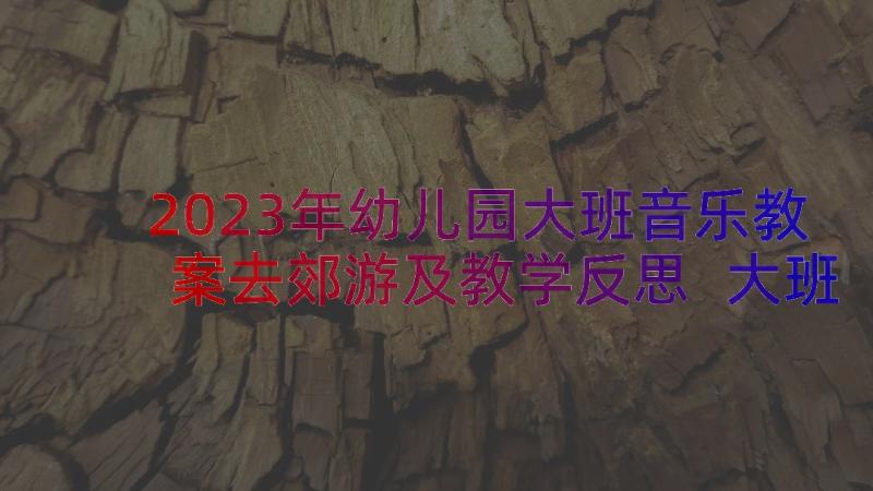 2023年幼儿园大班音乐教案去郊游及教学反思 大班音乐下学期教案及教学反思郊游(模板8篇)