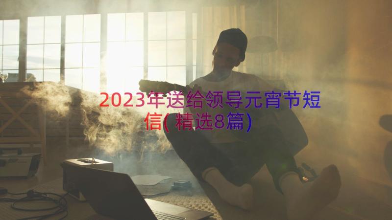 2023年送给领导元宵节短信(精选8篇)