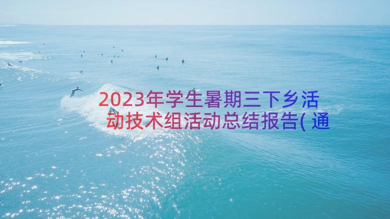 2023年学生暑期三下乡活动技术组活动总结报告(通用20篇)