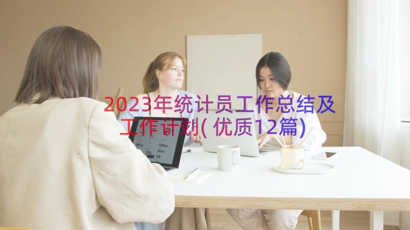 2023年统计员工作总结及工作计划(优质12篇)