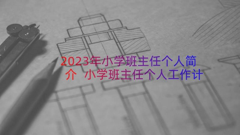 2023年小学班主任个人简介 小学班主任个人工作计划(模板5篇)