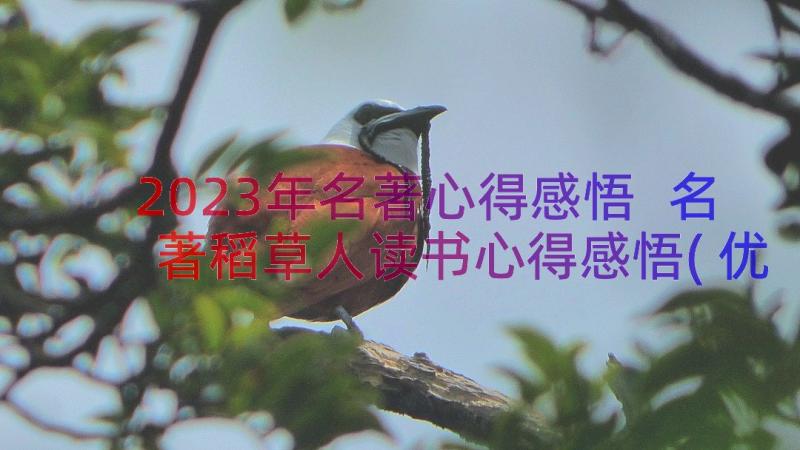 2023年名著心得感悟 名著稻草人读书心得感悟(优秀12篇)