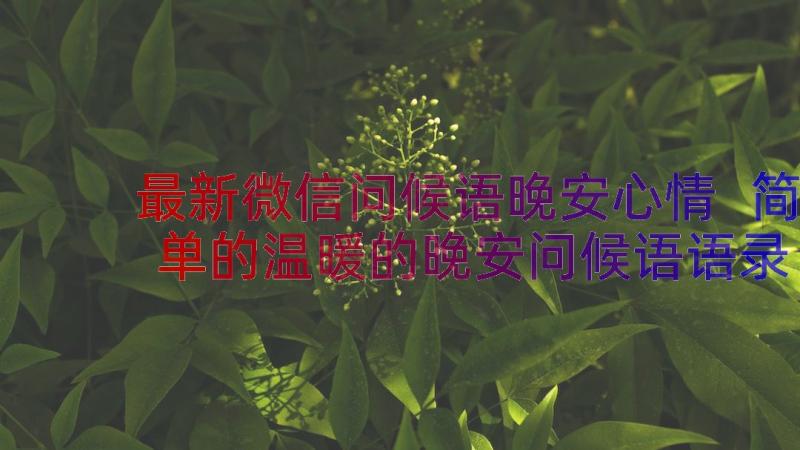 最新微信问候语晚安心情 简单的温暖的晚安问候语语录(汇总10篇)