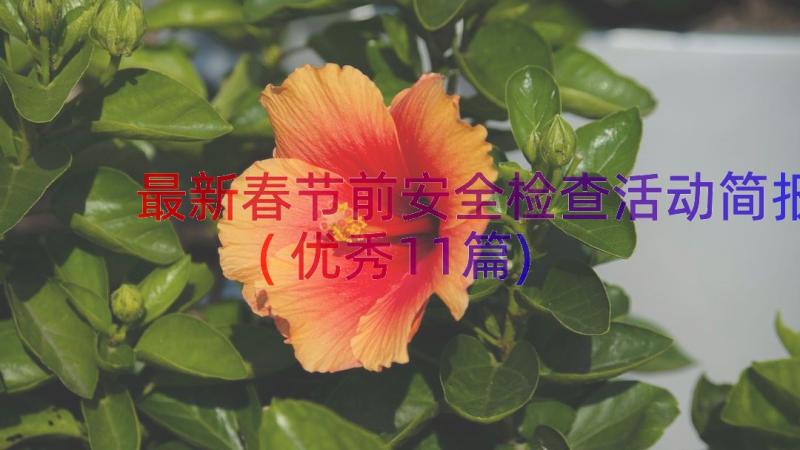 最新春节前安全检查活动简报(优秀11篇)