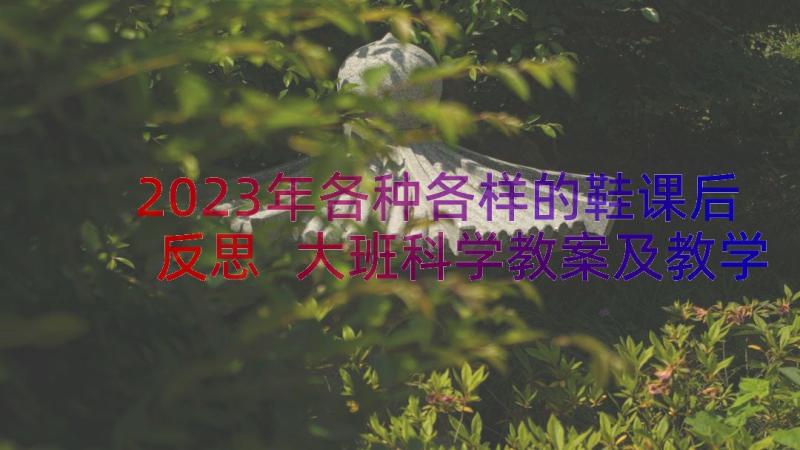 2023年各种各样的鞋课后反思 大班科学教案及教学反思各种各样的树(汇总8篇)