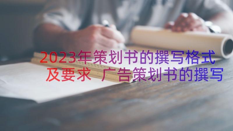 2023年策划书的撰写格式及要求 广告策划书的撰写(通用8篇)