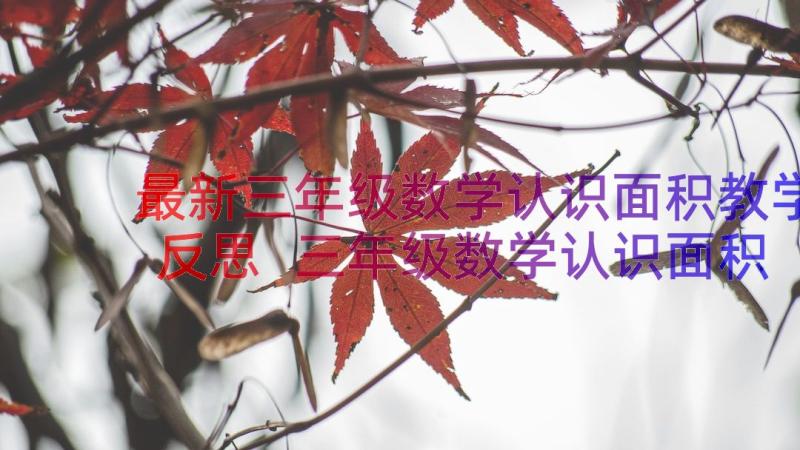 最新三年级数学认识面积教学反思 三年级数学认识面积及单位教学反思(汇总8篇)