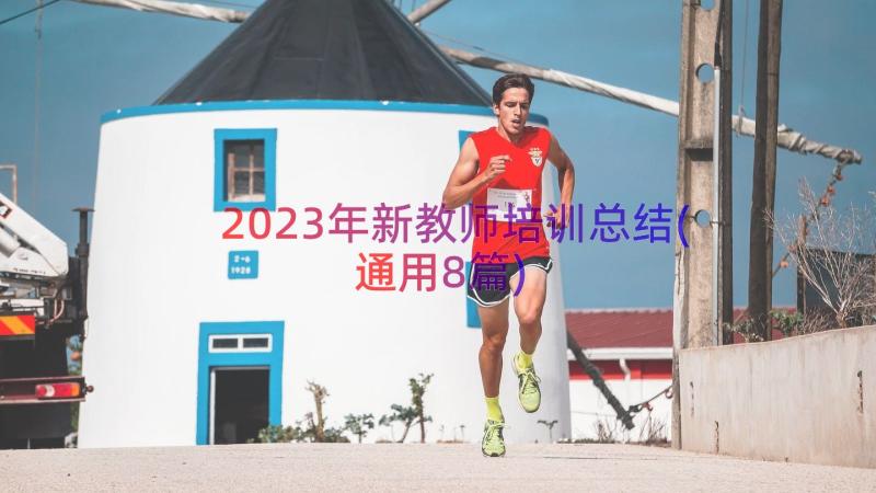 2023年新教师培训总结(通用8篇)