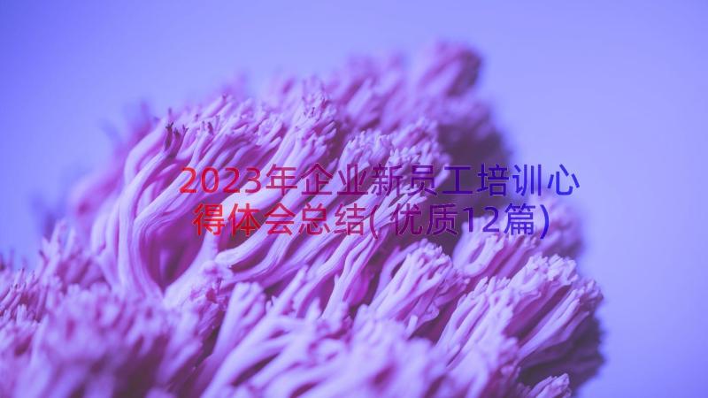 2023年企业新员工培训心得体会总结(优质12篇)