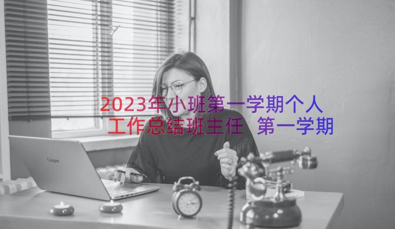 2023年小班第一学期个人工作总结班主任 第一学期小班工作总结(优质14篇)