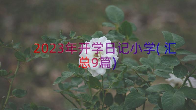 2023年开学日记小学(汇总9篇)