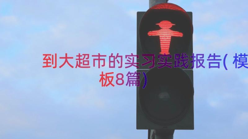 到大超市的实习实践报告(模板8篇)