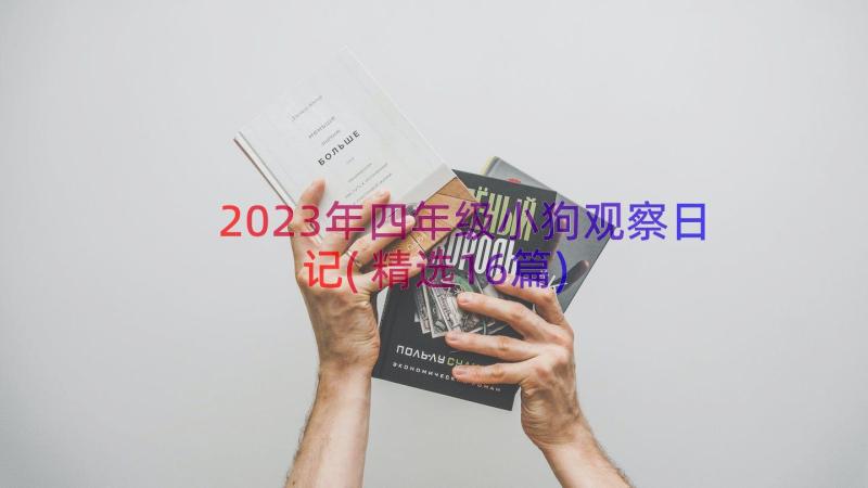 2023年四年级小狗观察日记(精选16篇)