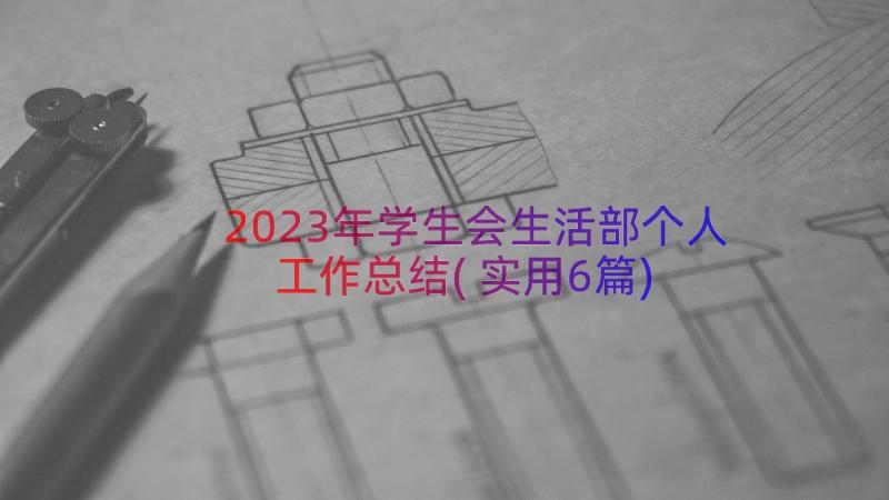 2023年学生会生活部个人工作总结(实用6篇)