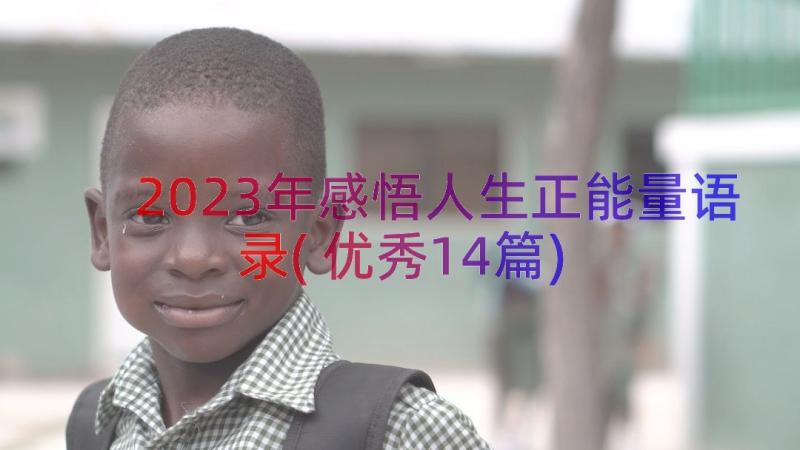 2023年感悟人生正能量语录(优秀14篇)