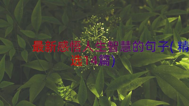 最新感悟人生智慧的句子(精选14篇)