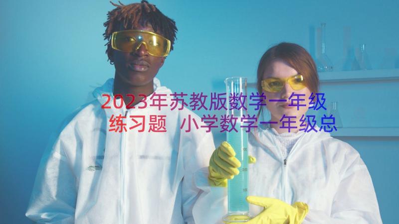 2023年苏教版数学一年级练习题 小学数学一年级总复习教案(汇总14篇)