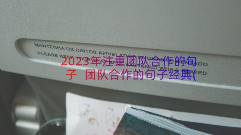 2023年注重团队合作的句子 团队合作的句子经典(优秀8篇)