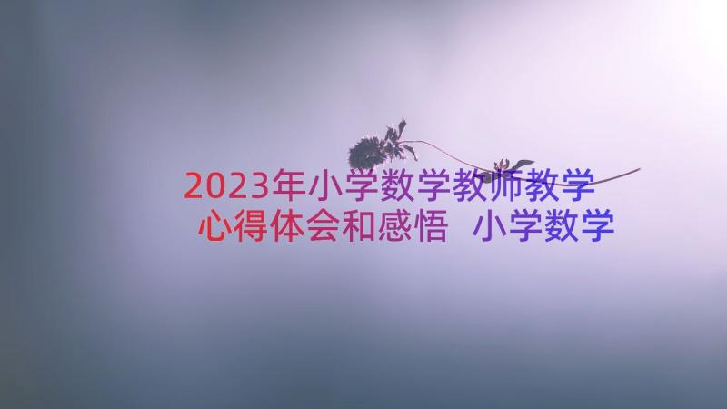 2023年小学数学教师教学心得体会和感悟 小学数学老师教学心得体会(大全13篇)